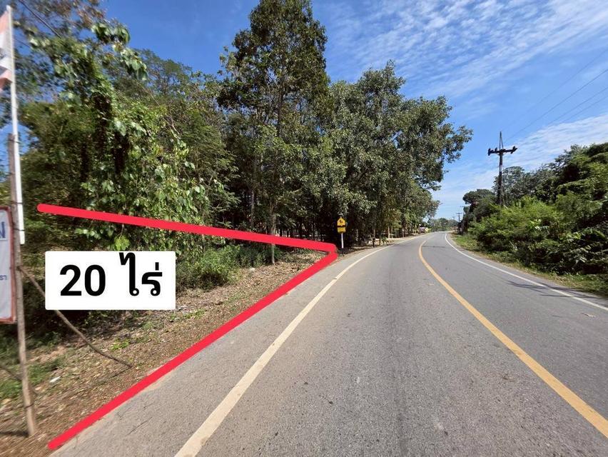 ขายที่ดินเปล่า 20 ไร่ พนมสารคาม ฉะเชิงเทรา เขต EEC ราคาต่อวาไม่ถึงพัน เข้าออกได้ทั้งถนน 304 และ 331 5