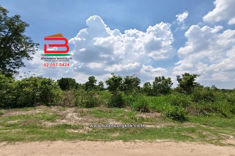 ที่ดินเปล่า บ้านหนองแสง เนื้อที่ 23-0-22 ไร่ ซ.เทศบาลตำบลบ้านซ่อง 34 ตำบลเขาหินซ้อน อำเภอพนมสารคาม จังหวัดฉะเชิงเทรา 3