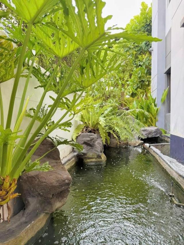 บ้านเดี่ยว 4ห้องนอน ให้เช่า  โครงการ The City Ramintra 9