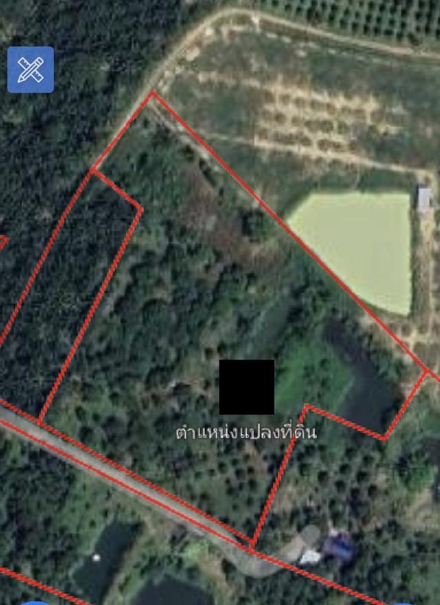 สวนผลไม้ให้ผลผลิดแล้ว ติดถนนหลัก มีสระน้ำ 3