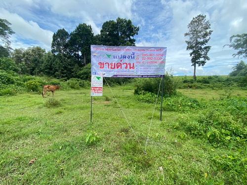ขายที่ดิน 3-1-59 ไร่ เชียงราย – ทำเลดี ติดถนนลาดยาง เหมาะสร้างบ้าน & เกษตรกรรม 1