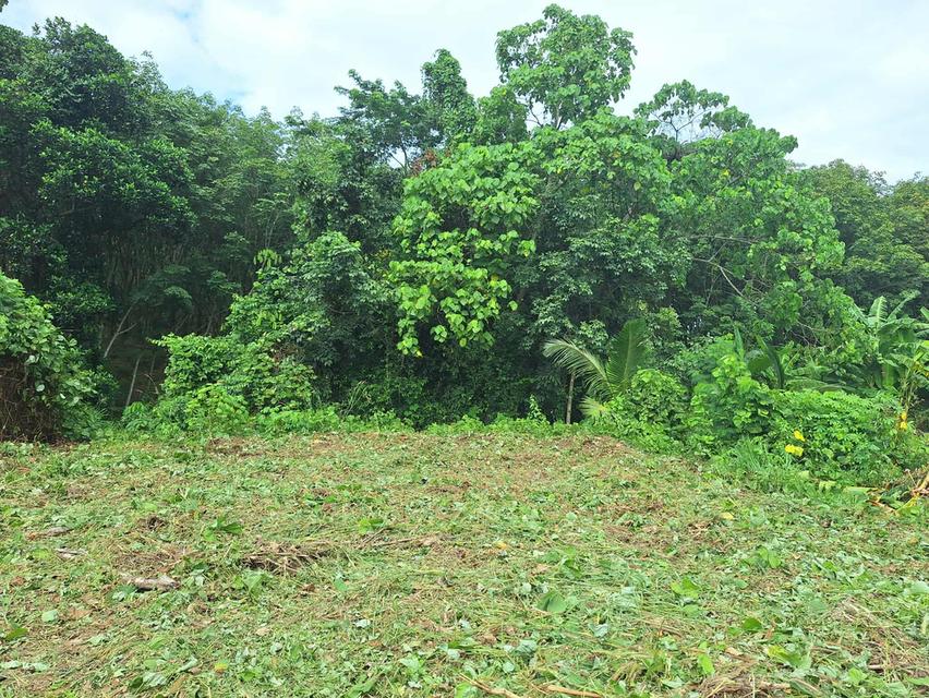 ที่ดินวิวเขาติดลำธาร ระยอง 5