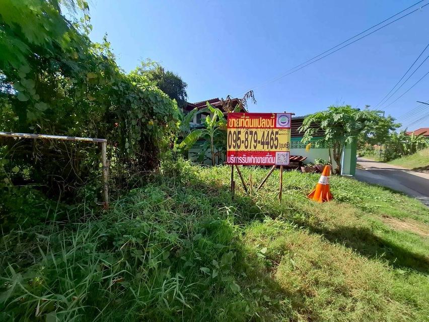 Vายถูกที่ดินซอยตองเปอะ 75 ตารางวา  ติดถนนน 2 ด้าน ถมแล้ว เทศบาล 3/2 อ.สามโคก จ.ปทุมธานี 6