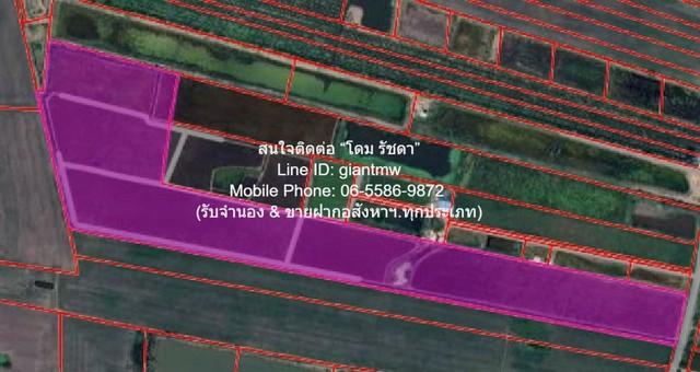 DSL-1016 ขาย ที่ดิน ขายที่ดินทุ่งนา 103-0-44 ไร่ ศรีจุฬา อ.เมืองนครนายก นครนายก ราคา 31 ล้านบาท ใกล้กับ วัดศรีจุฬา 1
