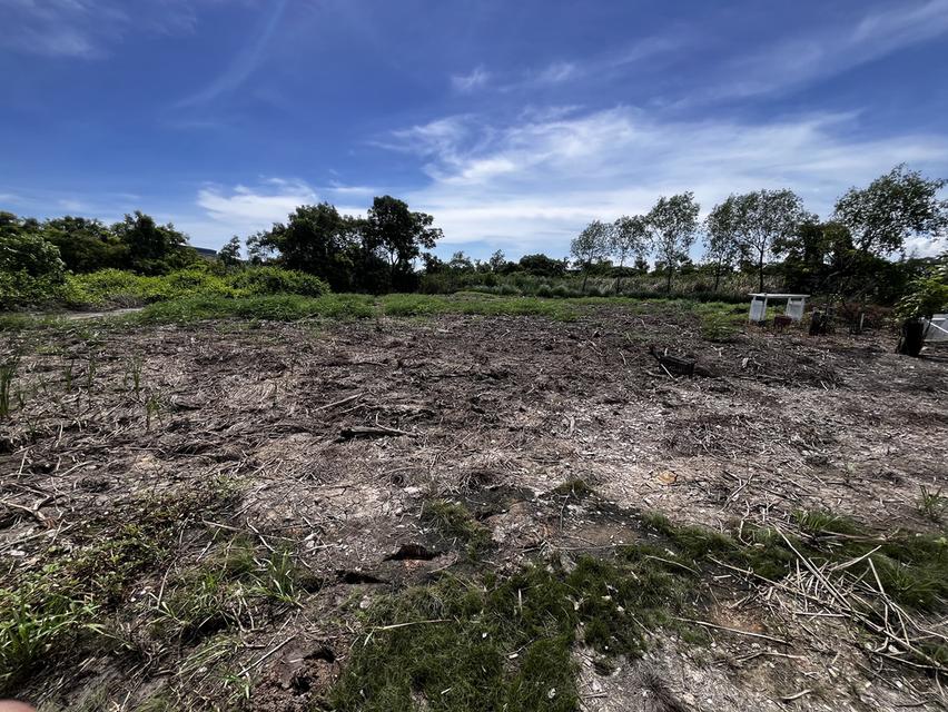 ที่ดินเปล่าข้างสนามกอร์ฟบางปูสปอร์ต 3