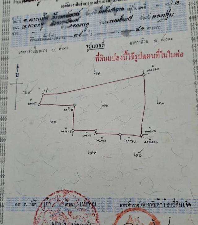 ขายที่ดิน เนื้อที่ 11-3-13 ไร่ พร้อมบ้านตึก 2 ชั้น หลังใหญ่ มีที่นา  2