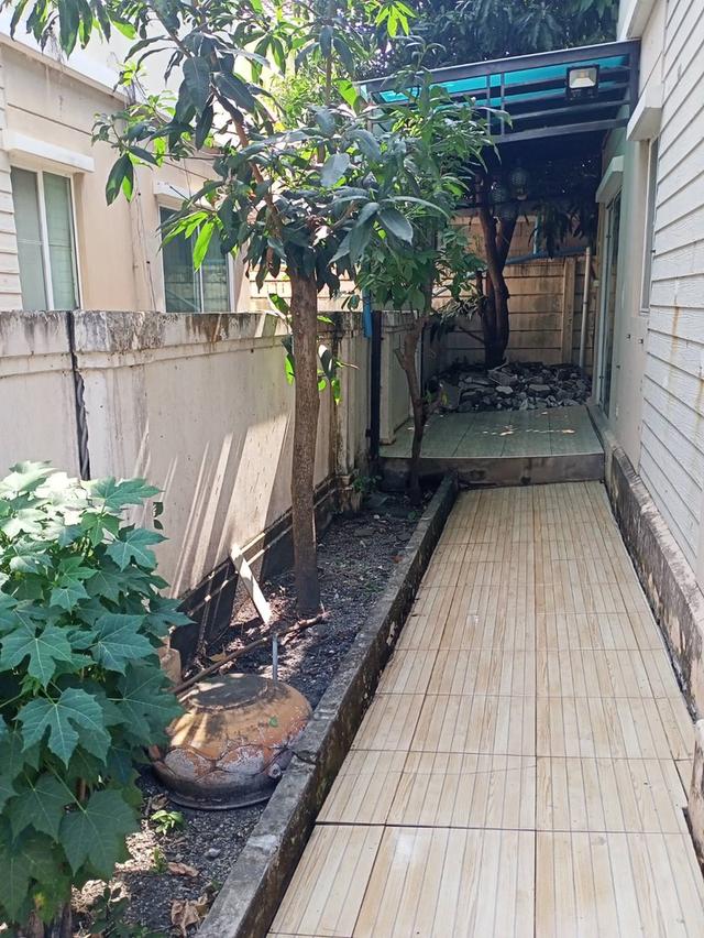 ขายบ้านเดี่ยว 2 ชั้น 3 ห้องนอน 2 ห้องน้ำ ต.พันธุ์ท้ายนรสิงค์ อ.เมือง จ.สมุทรสาคร 1