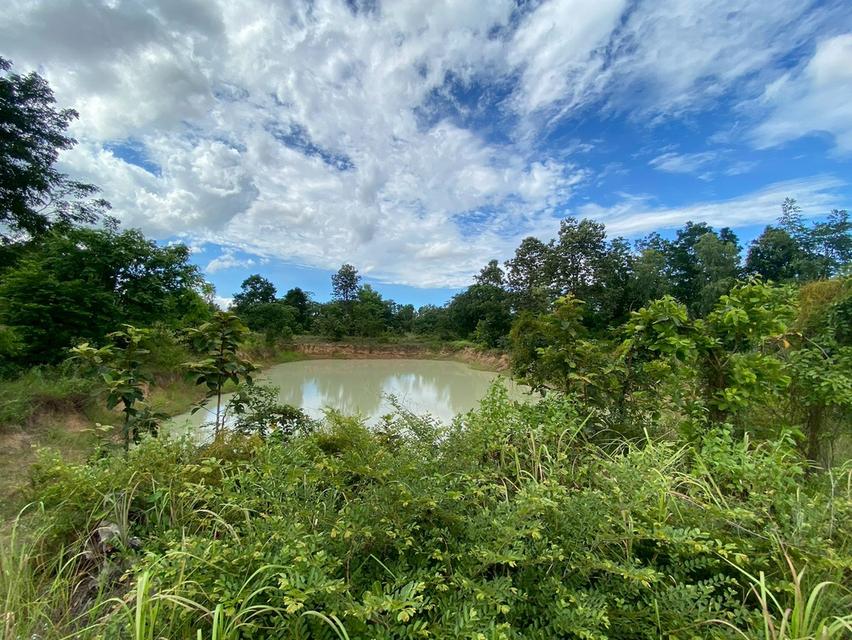 ขายที่ดิน เมืองพล จังหวัดขอนแก่น 1