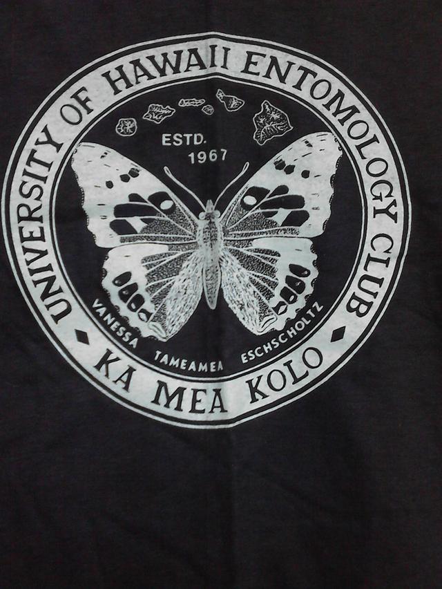 เสื้อยืดแขนสั้น University of Hawaii ของใหม่จากสหรัฐ รูปที่ 3