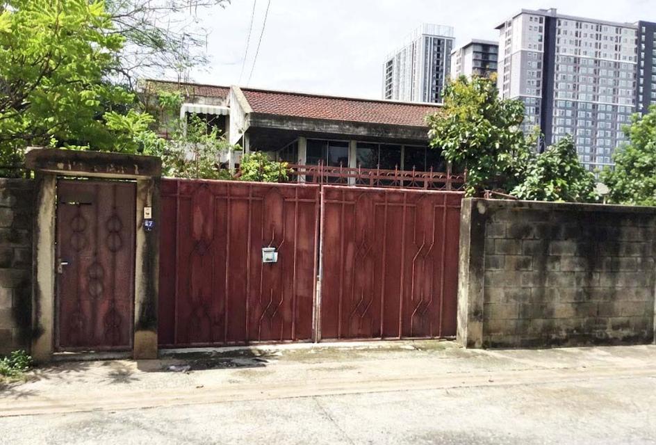 ขายที่ดินบางซื่อ ในเมืองกรุงเทพ 231 ตร.วา พร้อมบ้าน 2 ชั้นมีสไตล์ ใกล้ MRT ติดตลาด บางซ่อน (กรุงเทพ-นนท์ 27) 9