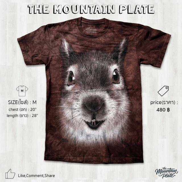 เสื้อยืด The Mountain