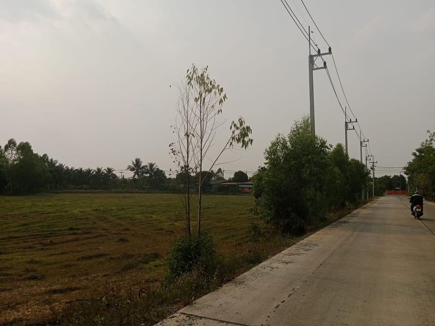 ขายที่ดินหัวหว้า ศรีมหาโพธิ 1 ไร่ ติดถนนทล.ชนบทใกล้ถนนสี่เลน3070-100เมตร จ.ปราจีนบุรี 5
