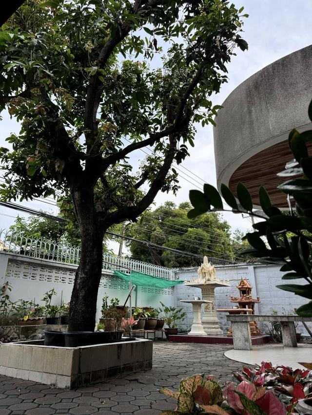 ขายบ้านเดี่ยว 3 ชั้น  บรรยากาศส่วนตัวสุดๆ ใจกลางย่านสาทร-นราธิวาสฯ ใกล้โรงเรียนชั้นนำ และห้างครบวงจร 6