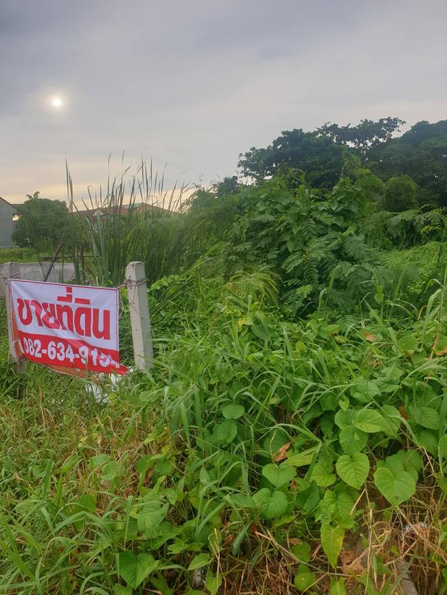 ทีดิน