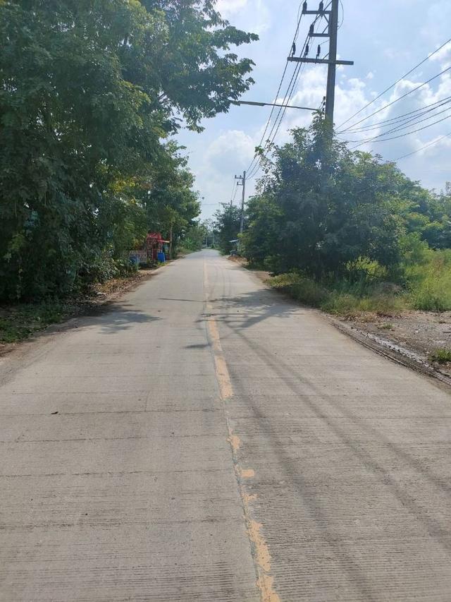 ขายที่ดินถมแล้ว 2-1-79 ไร่ ถ.เรียบคลองบางโพธิ์ใต้ ทำเลดีติดถนนกาญจนาภิเษก บางหลวง ปทุมธานี 8