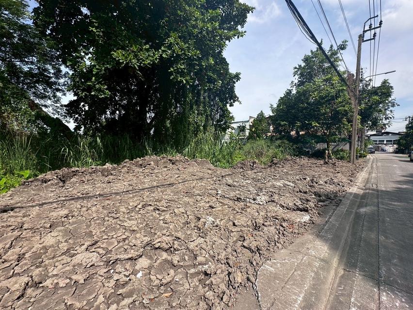 ที่ดิน 9