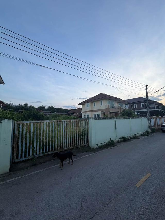 ที่ดินแปลงสวย ตำบลแม่เหียะ อำเภอเมืองเชียงใหม่ จังหวัดเชียงใหม่ 1