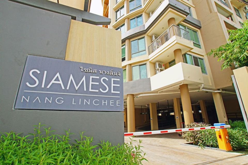 For rent and sale   Siamese Nanglinchee 2