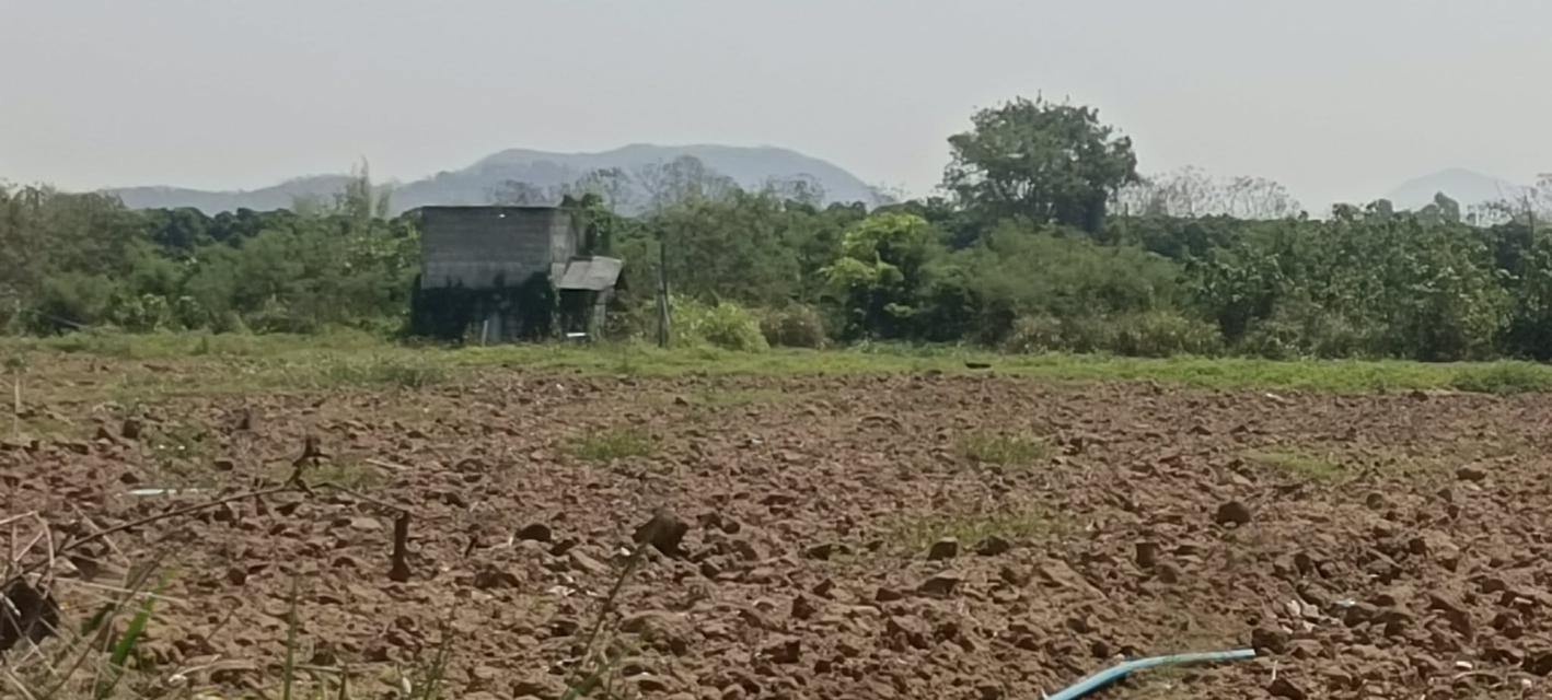 บ้านพร้อมที่ดินจังหวัดลำพูน 3