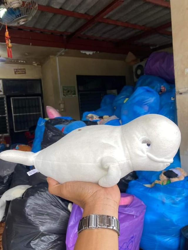 Beluga Whale Plush