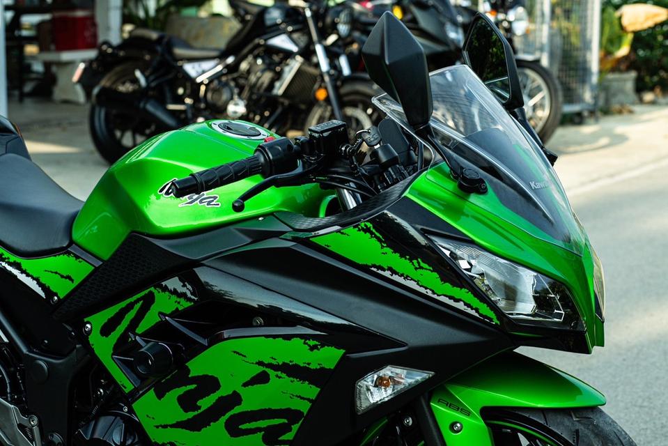 Ninja300