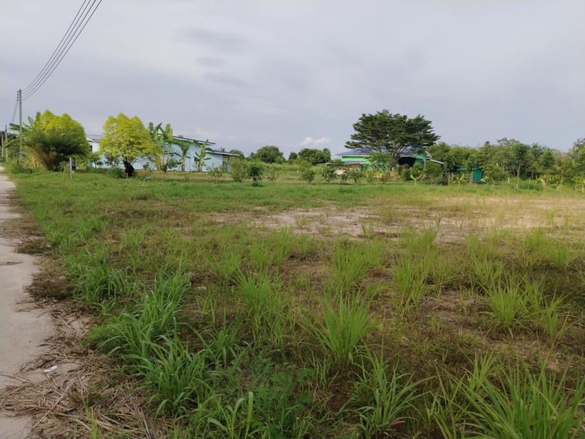 ขายที่ดินหมอนนาง 1 ไร่ ถมแล้ว ซอยสิบสองพัฒนา37 ใกล้แยกหนองเสม็ด-5กม. อ.พนัสนิคม ชลบุรี 4