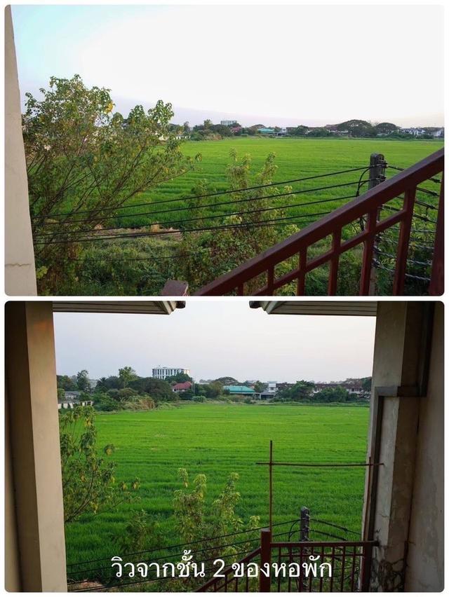 ที่ดินเชียงใหม่ต่ำกว่าราคาประเมิน ขายที่ดินในเมืองเชียงใหม่ 10