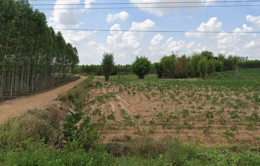 ขายที่ดินนาวังหิน 3 ไร่ ทำเลดีติดถนน2ด้าน ใกล้ถนนเส้น331-500เมตร อ.พนัสนิคม ชลบุรี 2