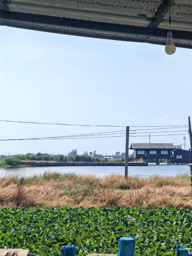 ที่ดินแปลงสวย ต.บางบ่อ สมุทรปราการ 3