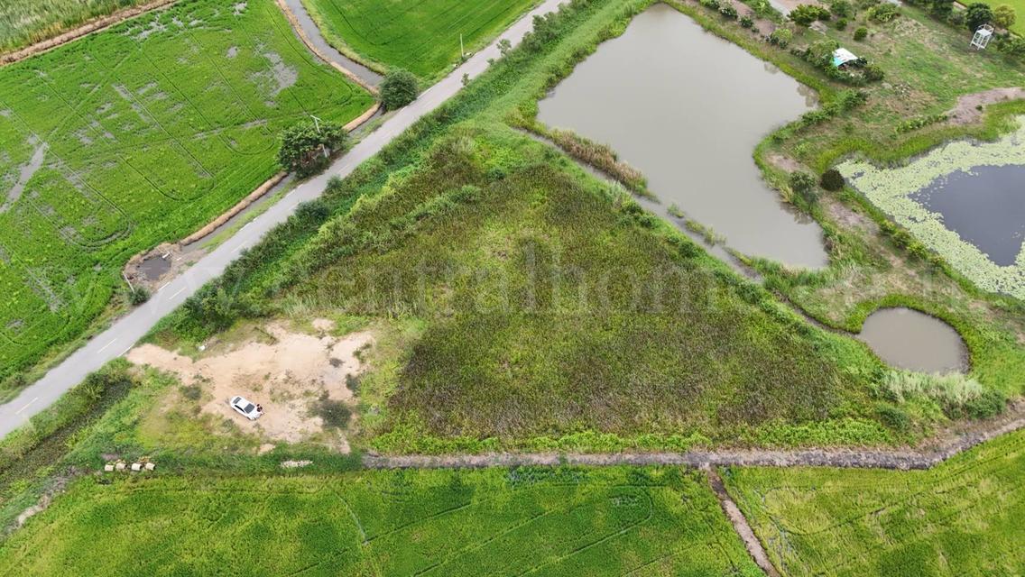 ที่ดินเปล่า 2-1-3.9 ไร่ ท่าระหัด เมืองสุพรรณบุรี ราคาถูกมาก 2
