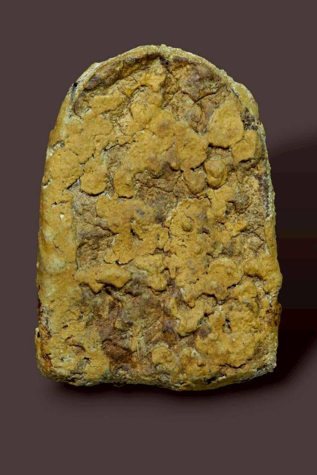 พระซุ้มกอเนื้อว่านหน้าทอง รูปที่ 3