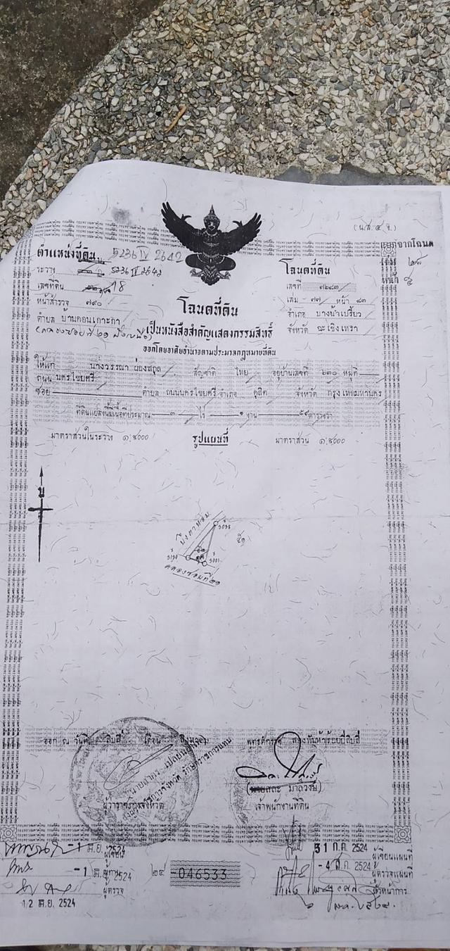 ขายที่ดิน คลอง 21 อำเภอบางน้ำเปรี้ยว จังหวัดฉะเชิงเทรา 4