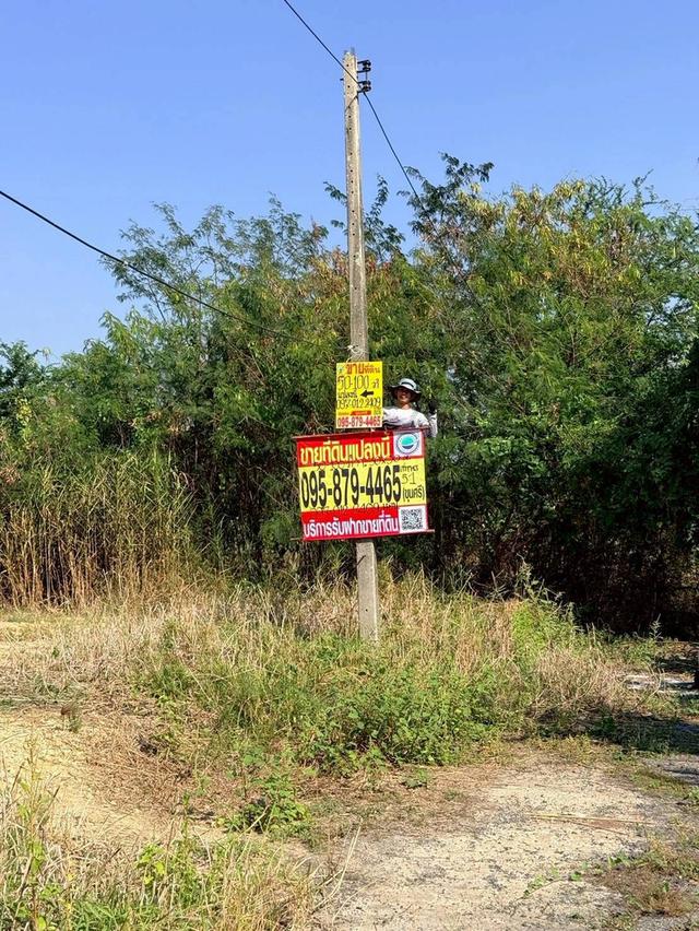 ขายด่วนที่ดินใกล้มหิดล 103 ตรว ถมแล้วทั้งแปลง ซ.สหพร 51 อ.พุทธมณฑล จ.นครปฐม 2