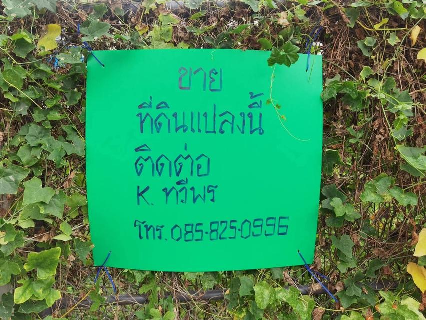 ที่ดินศรีราชา เขตเมืองชั้นใน 4