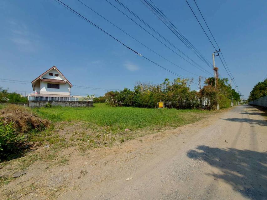 ขายที่ดินเปล่า ถนนเจริญพัฒนา คลองสามวา กรุงเทพมหานคร 3