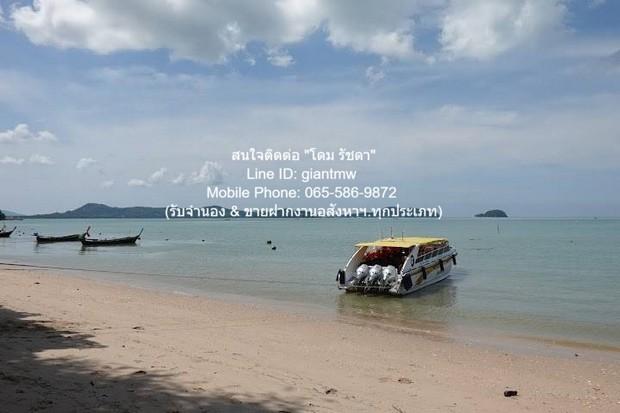 พื้นที่ดิน ขายที่ดินสวนป่า บนเนินไหล่เขา วิวทะเล (Seaview) เกาะสิเหร่ ภูเก็ต 5-0-48.7 ไร่ (ห่างชายทะเล 100 ม.), ราคา 76, 7