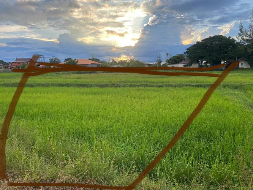 ขายที่ดินแปลงสวยๆเขตเทศบาล อ.โนนศิลา จ.ขแนแก่น 1