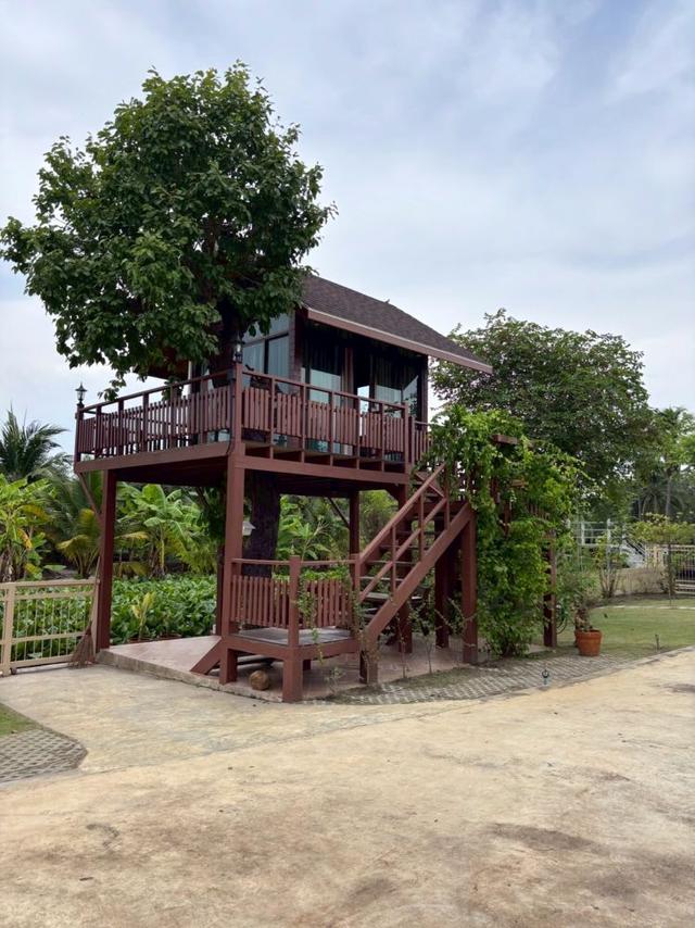 ขายที่ดิน 5 ไร่ พร้อมบ้านพักสไตล์รีสอร์ท ติดคลองสวย พร้อมโอน บ้านแพ้ว 4 ตำบลหลักสาม สมุทรสาคร  4
