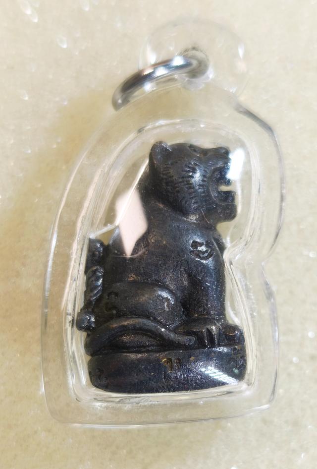 เสือหลวงพ่อเพี้ยน วัดเกริ่นกฐิน ปี 2555 รุ่นแซยิด เนื้อทองเหลืองรมดำ รูปย่อยที่ 2