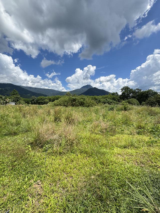 ที่ดินแถวอำเภอช้างกลาง จังหวัดนครศรีธรรมราช 12