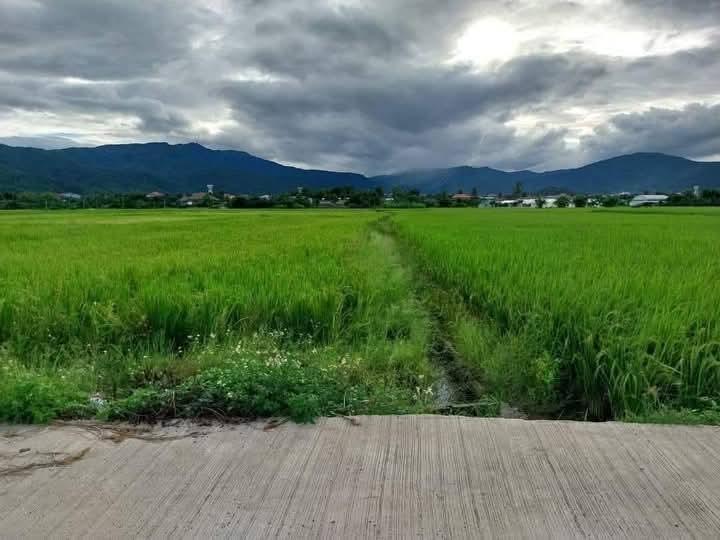 ที่ดินวิวสวย จอมทอง เชียงใหม่ 11