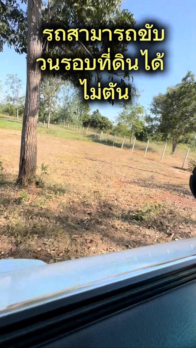ให้เช่า ที่ดิน 1 ไร่ ต.รางสาลี่ อ.ท่าม่วง จ.กาญจนบุรี แปลงหัวมุม 4