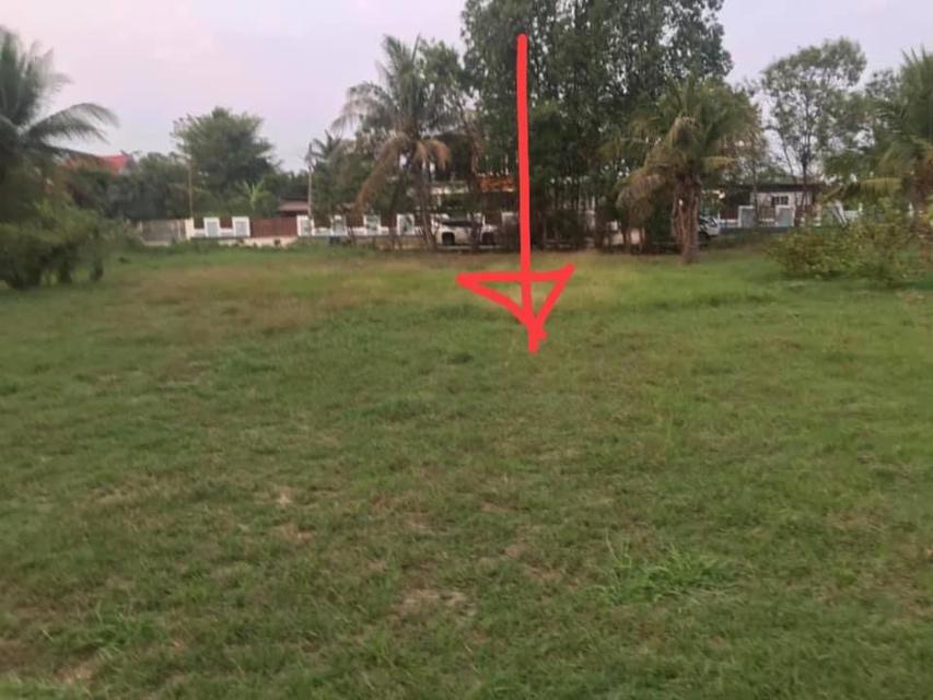 ขายที่ดินบ้านหนองหิน ที่สวยติดถนน 2ด้าน ทำเลดี เหมาะสร้างบ้าน 200 ตารางวา ต.ศิลา  อ.ขอนแก่น จ.ขอนแก่น 5