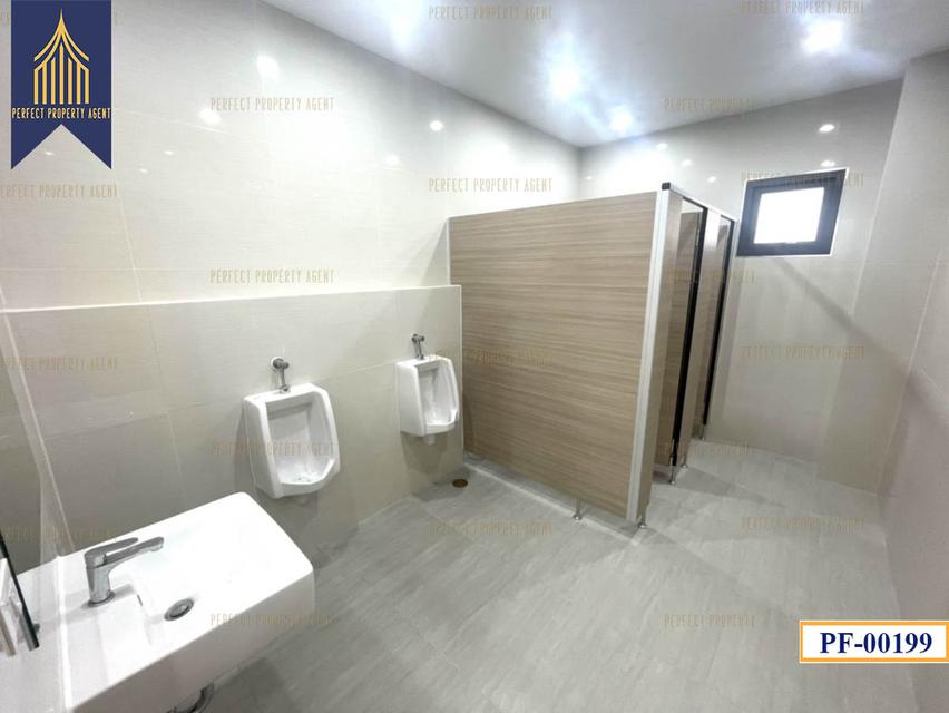 New Factory for sale สีม่วงเข้ม หลายขนาด ลำลูกกา ปทุมธานี 9