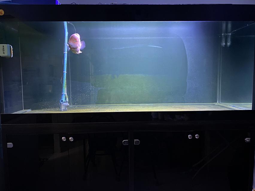 ขาย ตู้ปลานิศาชล ขนาด 72" x 30" x 30" กระจกหนา 4 หุน 2