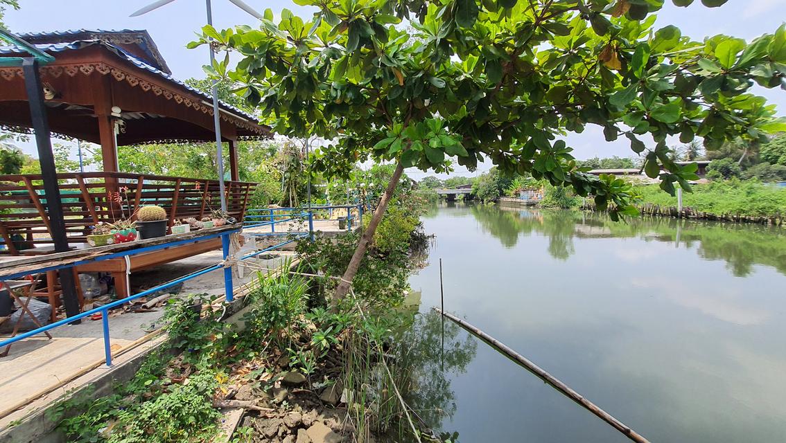 ขายด่วน ขายถูก รีสอร์ท & โฮมสเตย์ ติดแม่น้ำเพชรบุรี ต.บางครก อ.บ้านแหลม  จ.เพชรบุรี 6