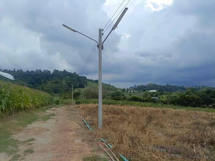 ที่ดิน เปล่า 1-10 ไร่ แบ่งขายได้ ที่วังหมี ไร่ละ 6แสน