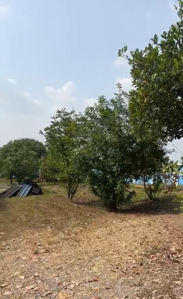 ขายที่ดิน 9 ไร่ 3 งาน อ.คลองหลวง จ.ปทุมธานี ทำเลทอง บรรยากาศดี ใกล้ถนนคลองหลวง 4