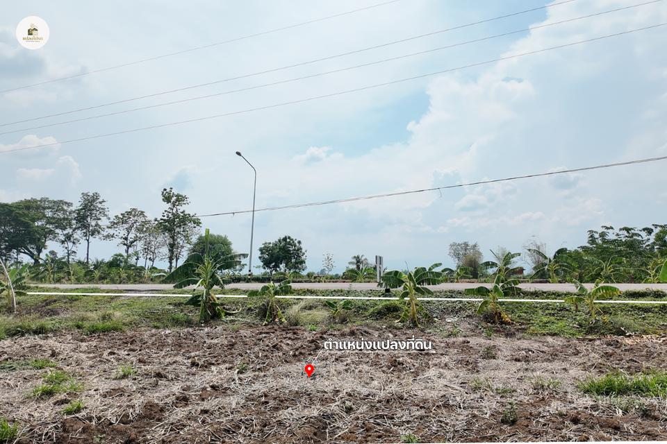 ขายที่ดิน 3 ไร่ 68 ตร.ว. โฉนดครุฑแดง บรรยากาศดี วิวภูเขา ติดถนนหลัก ต.บ้านโคก เพชรบูรณ์ 9