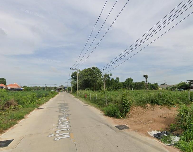 ขายที่ดินพัทยาหนองปรือ 1 ไร่ ติดถนน2ด้านซอยหนองไม้แก่น17 อ.บางละมุง ชลบุรี